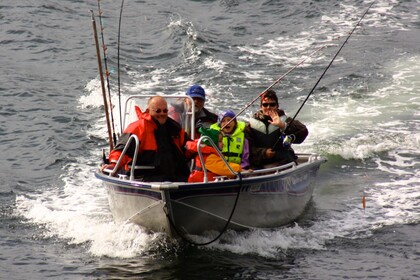 Location Bateau à moteur Linder Arkip Lensvik