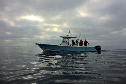 Verhuur Motorboot Regulator 32FS Šibenik