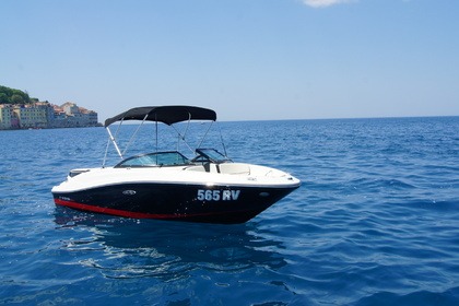 Noleggio Barca a motore SEA RAY 190 SPORT Rovigno