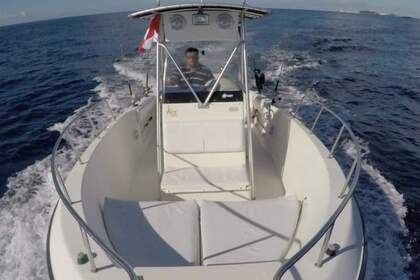 Alquiler Lancha Proline 20ft Cozumel