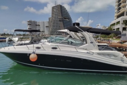 Charter Motorboat Sea Ray 335 Sundancer Isla Mujeres