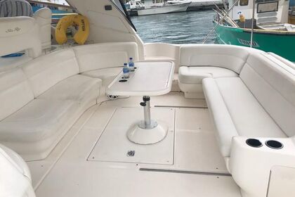 Charter Motorboat Sea  Ray Sundancer 46ft. Kuşadası