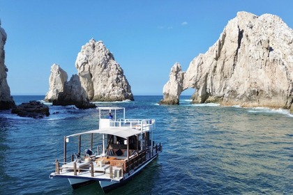 Charter Motorboat Catamaran Platform 36' Cabo San Lucas