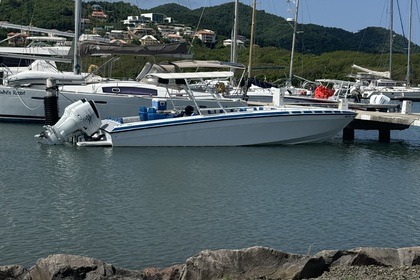 Charter Motorboat Wellcraft scarab 32 Gros Islet