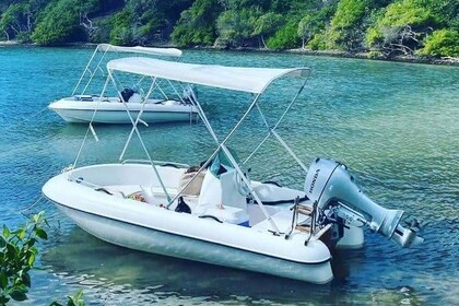 Чартер лодки без лицензии  rigiflix cap 370 Тулон