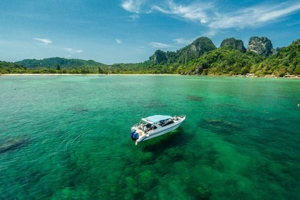 Charter Motorboat Thai Marine 36 Phuket