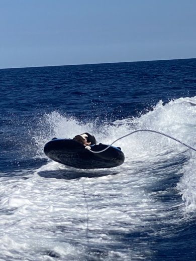 Banyuls-sur-Mer Motorboat PACIFIC CRAFT OPEN 7.5 alt tag text