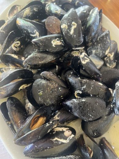 Zadar Motorboat Banko Pasara alt tag text