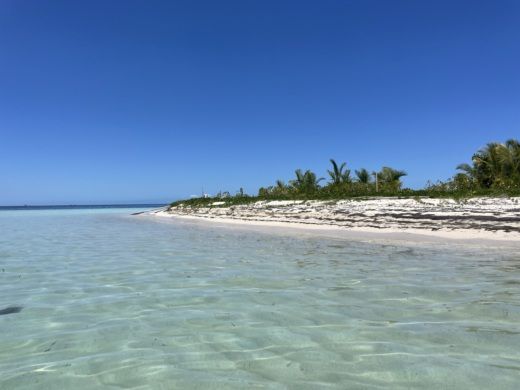 Le Gosier RIB BWA 28 GTO CORAIL BLEU alt tag text