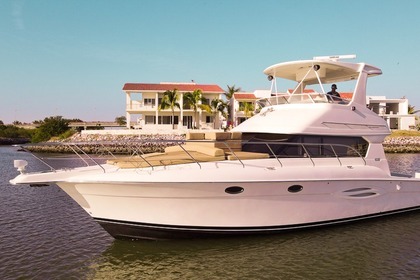 Charter Motorboat Silvertone 440 flybridge Mazatlán