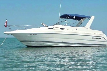 Hire RIB Wellcraft Martinique 2600 Fréjus