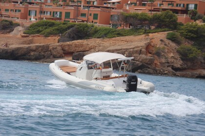 Charter RIB Grand Marine 850 El Toro