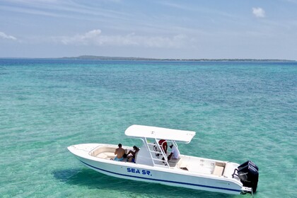 Charter Motorboat Todomar 2023 Cartagena