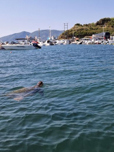 Zaquintos Motorboat Poseidon Blu water 170 2022 alt tag text