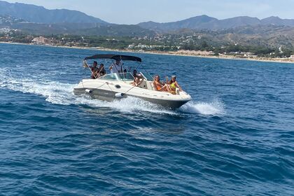 Noleggio Barca a motore Sea Ray SUNDECK 240 Marbella