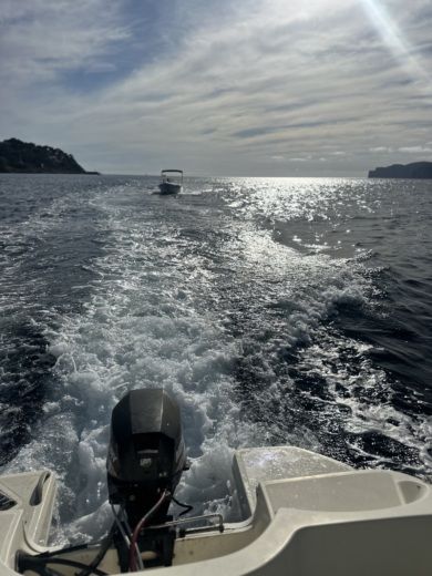 Santa Ponsa Motorboat Bayliner VR6 Cuddy alt tag text