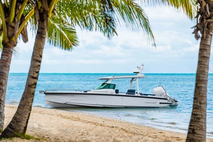 Hire Motorboat Axopar 29 ST Saint Martin