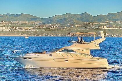 Rental Motor yacht Sea Ray boats Fly Bridge Cabo San Lucas