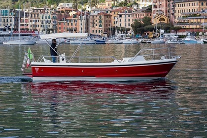 Charter Boat without licence  NELSON 24 Olivetta Portofino