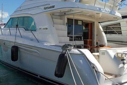 Charter Motorboat Sea Ray 52 Voyager Latsi