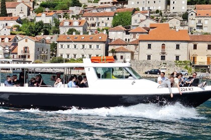 Charter Motorboat Gulf Craft Touring 36 Kotor