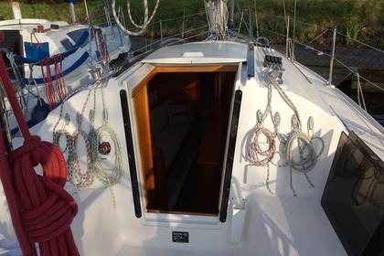 Czarter Jacht żaglowy Northman Maxus 28 Suchacz