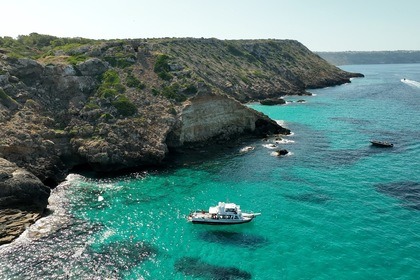 Charter Motorboat Astillero Palma (Baleares) MWM Diter Tipo TD229/4 S'Arenal