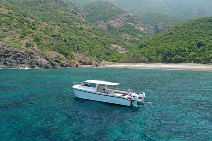 Miete Motorboot Cheetah marine 11.5 Calvi