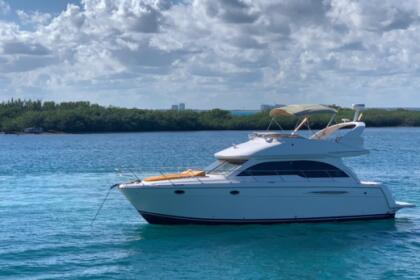 Charter Motorboat Meridian Yachts 430 Cancún