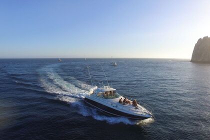Hire Motorboat Sea Ray cruiser Cabo San Lucas