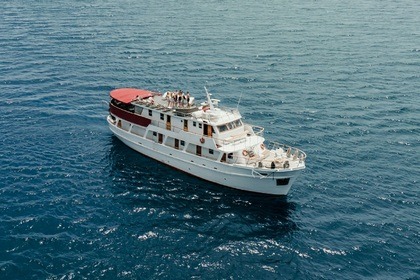 Charter Motorboat Betina Wooden boat Omiš