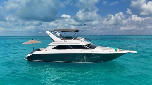 Motorboat Sea Ray Flybridge Σχέδιο κάτοψης σκάφους