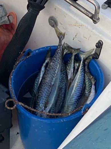 Concarneau RIB Bombard Air'ethic alt tag text