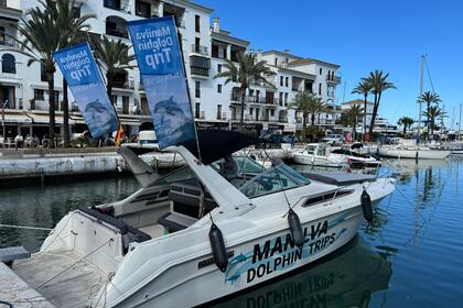 Alquiler Lancha Sea Ray Sundancer 330 Manilva