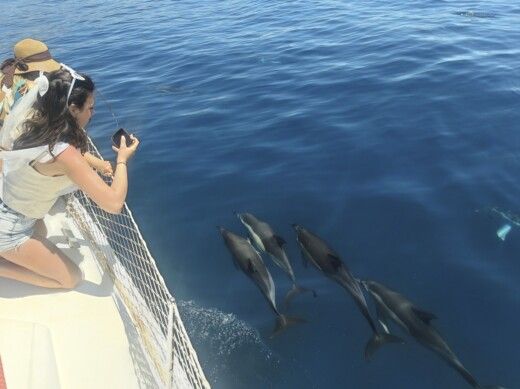 Sailboat Jeanneau Sun Odyssey 399i boat plan