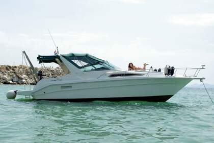 Rental Motorboat SEA RAY SUNDANCER Neos Marmaras