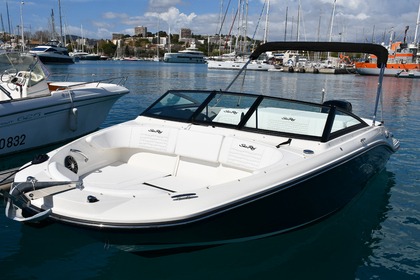 Rental Motorboat Sea Ray 190 Sport SPX Antibes