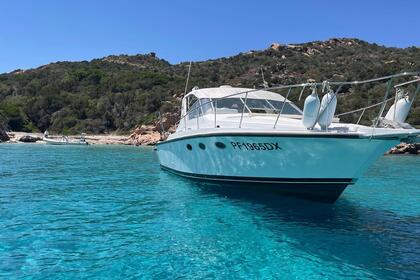Miete Motorboot Bertram Bertram 33 La Maddalena