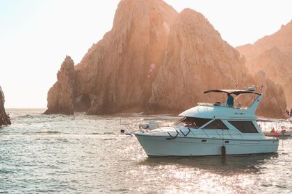 Hire Motorboat Bayliner 42 Cabo San Lucas