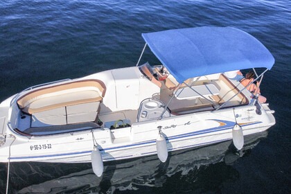 Alquiler Lancha Sea Ray 240 Sundeck Marbella