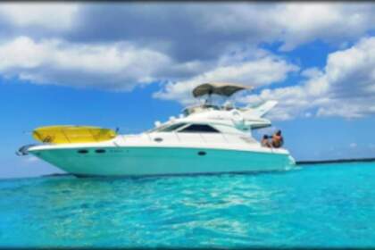 Charter Motor yacht Sea Ray Sedan Bridge Puerto Aventuras