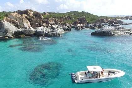 Rental Motorboat Cape Horn 32 center console Charlotte Amalie