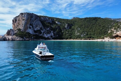 Noleggio Barca a motore Bertram Fischerman 25 Golfo di Orosei