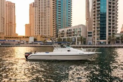 Hire Motor yacht Gulf Craft Gulf Craft 34ft Dubai