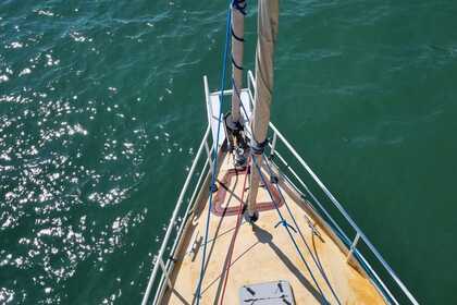 Aluguel Veleiro Proprio Multishine 2012 Paraty