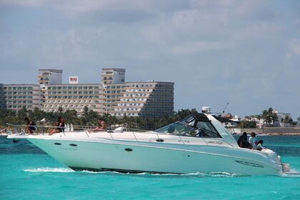 Miete Motorboot Sea Ray 460 Cancún