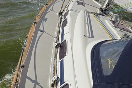 Miete Segelboot Bavaria 46 Cruiser Enkhuizen