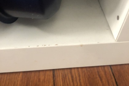 Charter Catamaran Selva D 360 C Murree