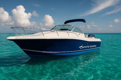 Hire Motorboat Kelt Marine White shark 236 La Trinité-sur-Mer