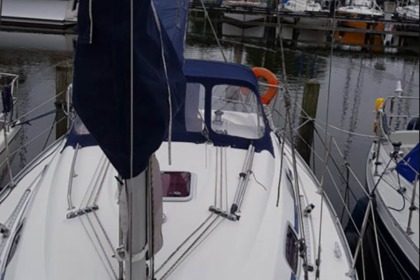 Miete Segelboot Bavaria 30 IJsselmeer